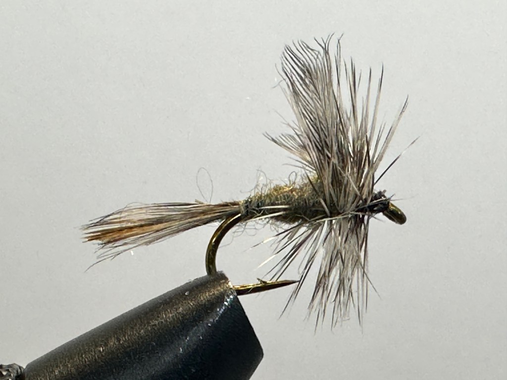 Adams, Grizzly