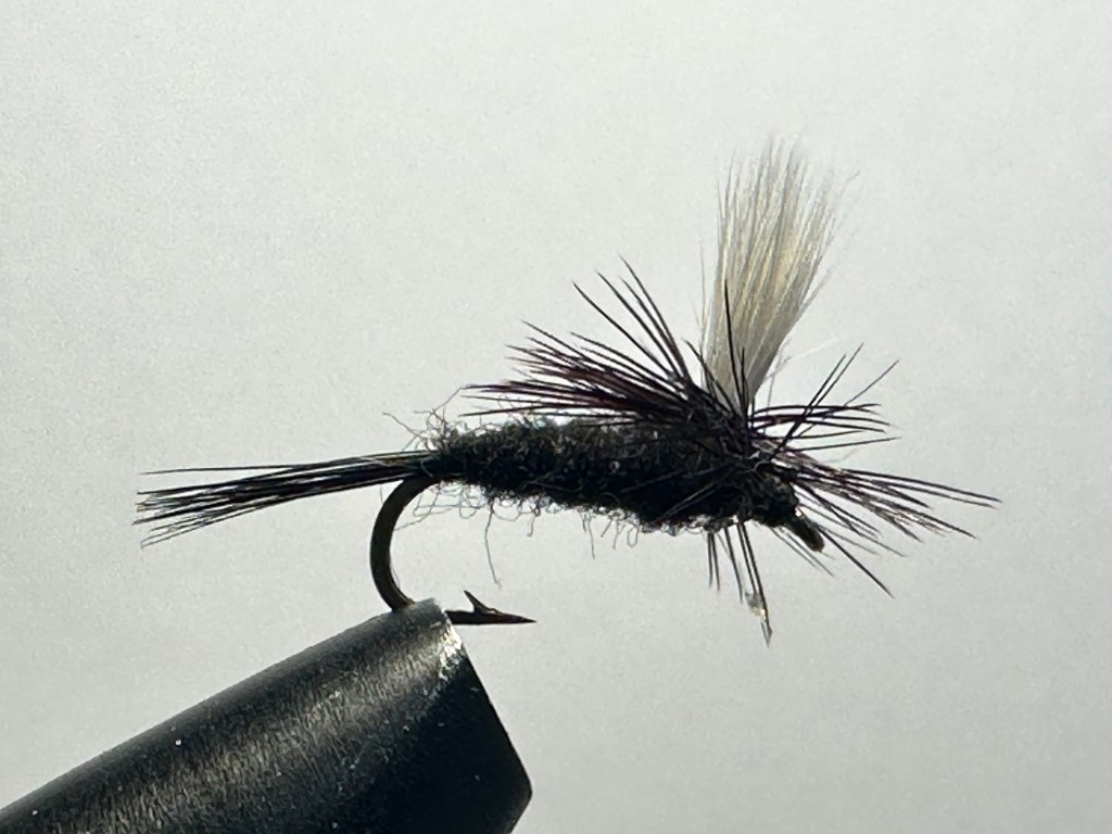 Ant, Black Parachute