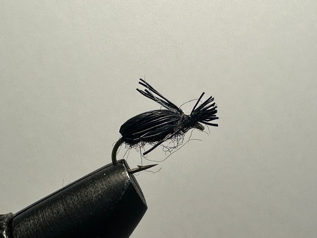 Black Beetle