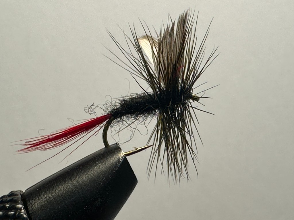 Black Gnat, Red Tail