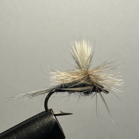 Blue Dun Parachute