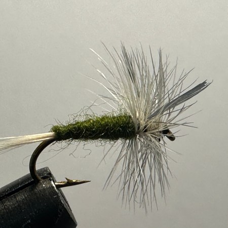 Blue Wing Olive