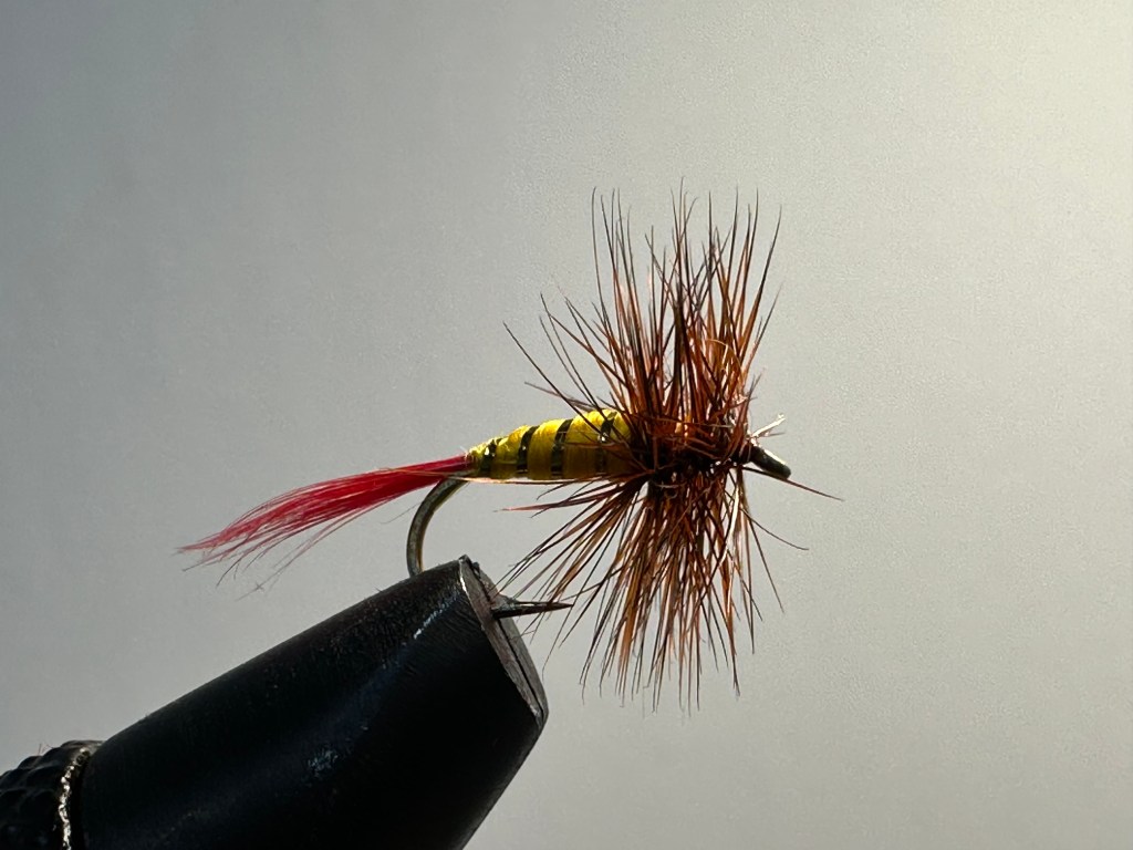Brown Hackle