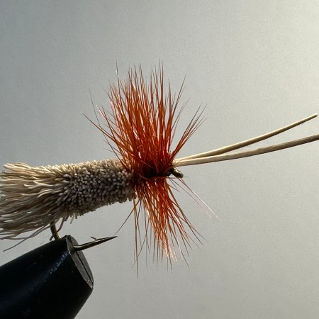 Goddard Caddis