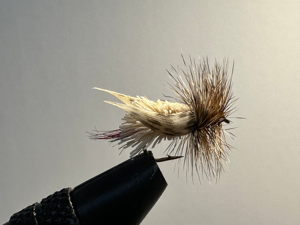 Grasshopper, Dear Hair Yellow