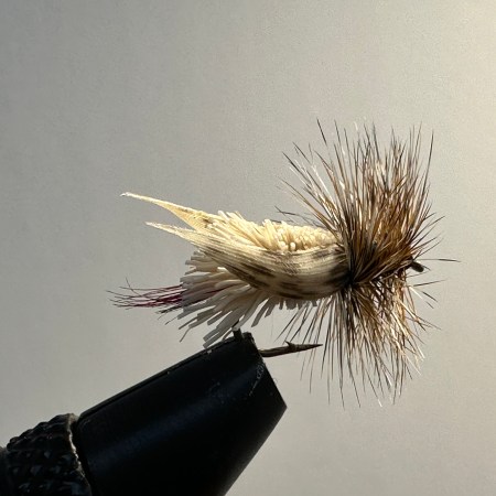 Grasshopper, Dear Hair Yellow