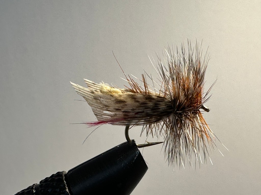 Grasshopper, Joe's