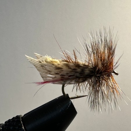 Grasshopper, Joe's