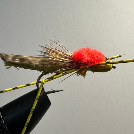 Grasshopper, Yellow Rubber Leg