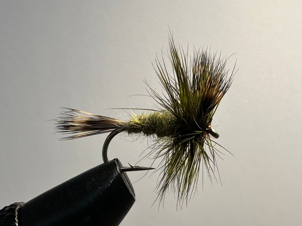 Green Drake, Wulff