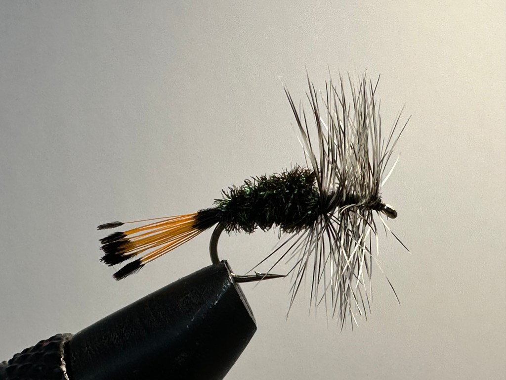 Grey Hackle