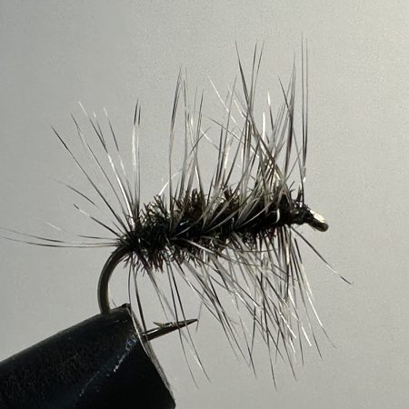 Griffith's Gnat
