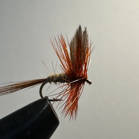 Hares Ear, Dry