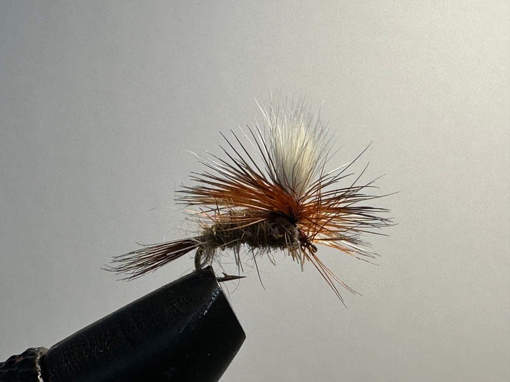 Hares Ear, Parachute Dry