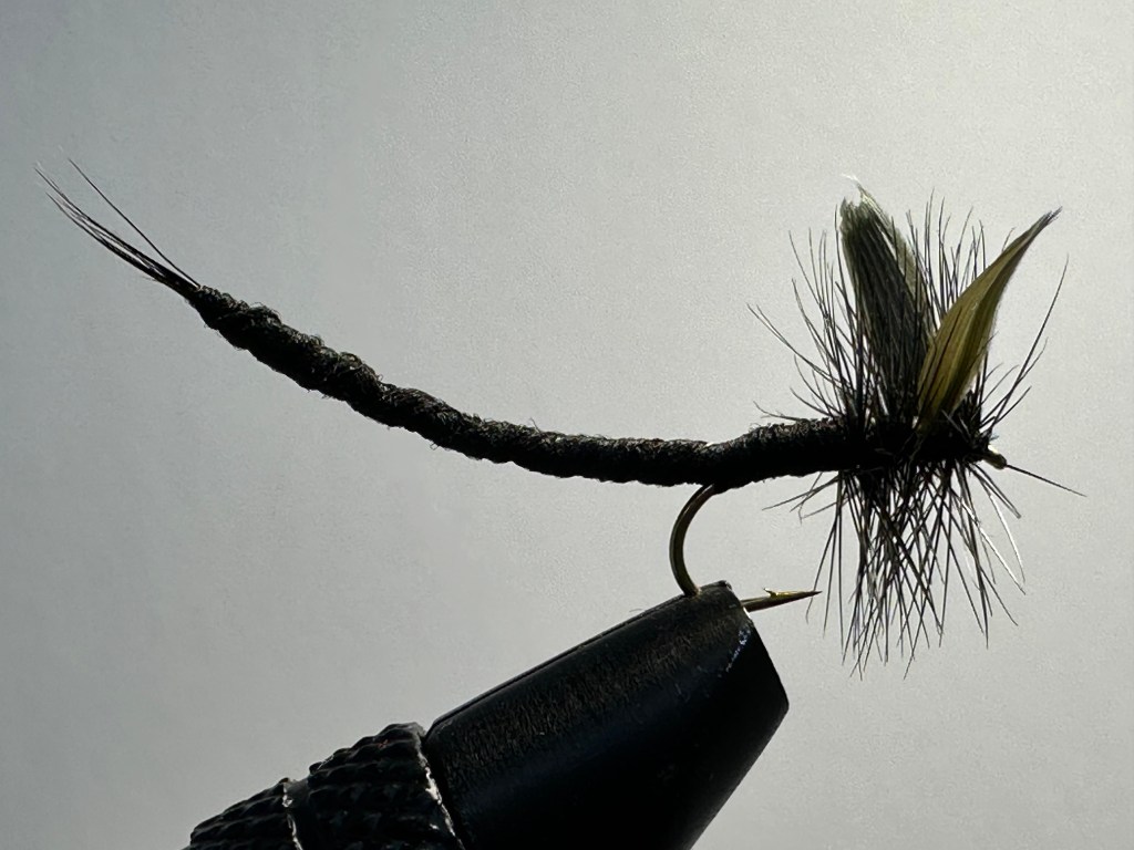 Mayfly