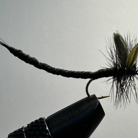 Mayfly