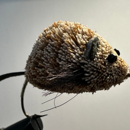 Mice, Large
