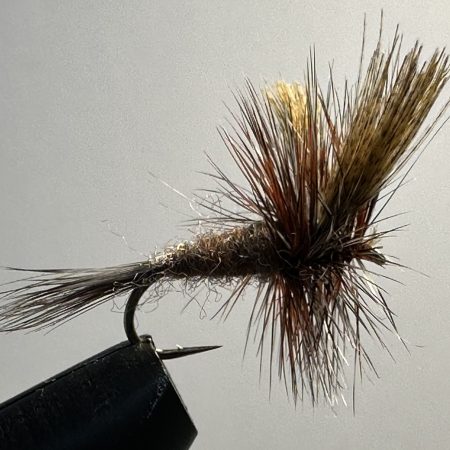 March Brown