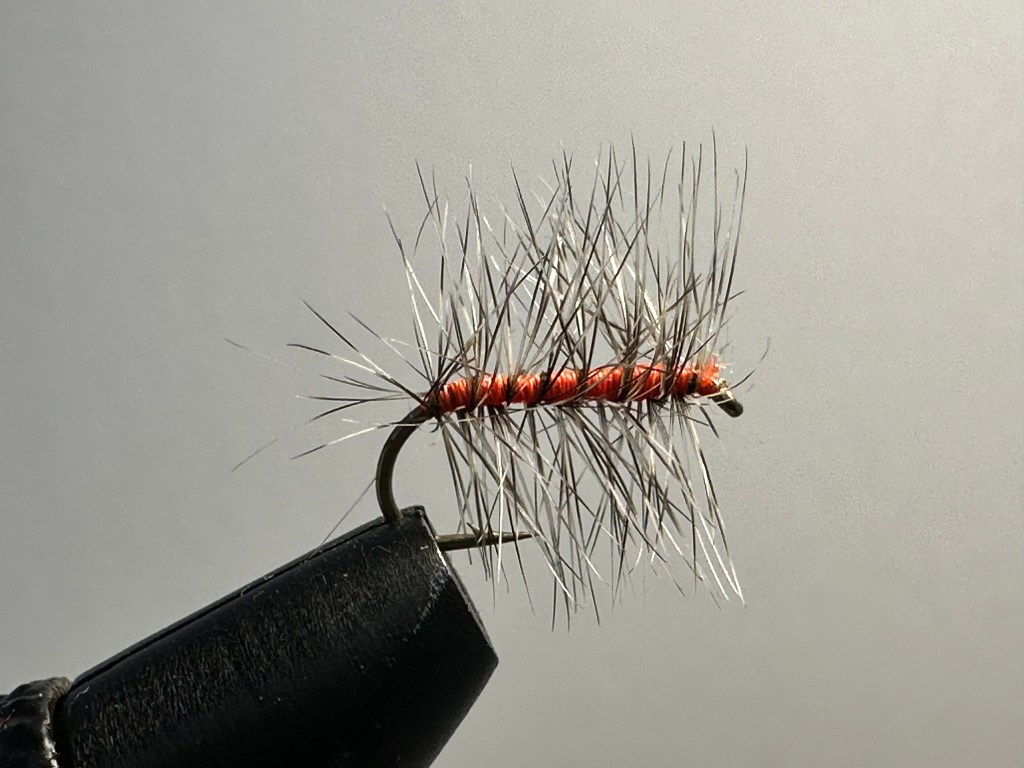 Orange Asher