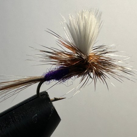 Purple Haze Parachute