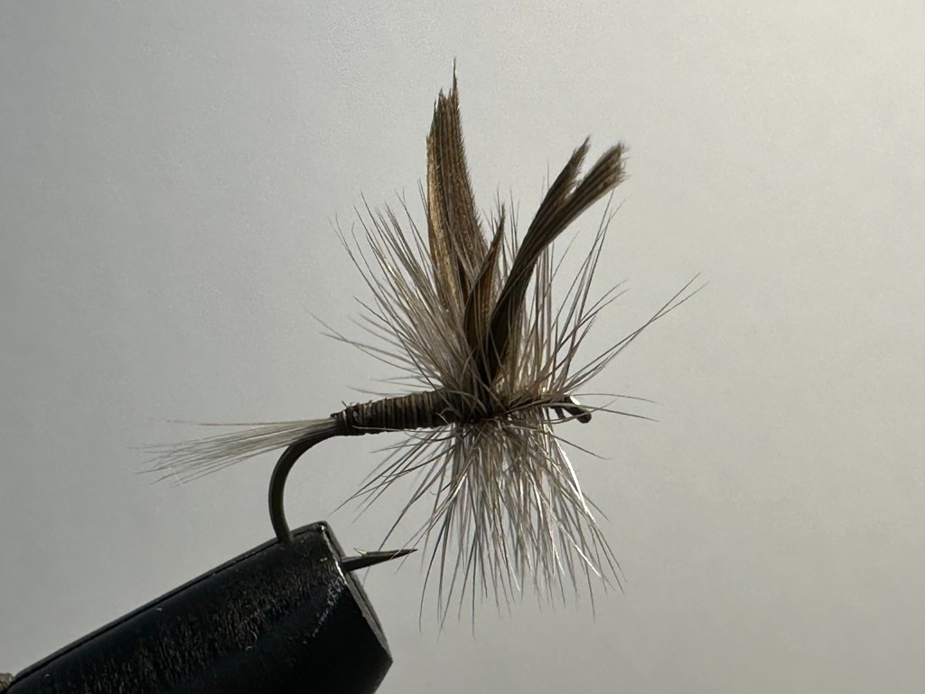 Quill