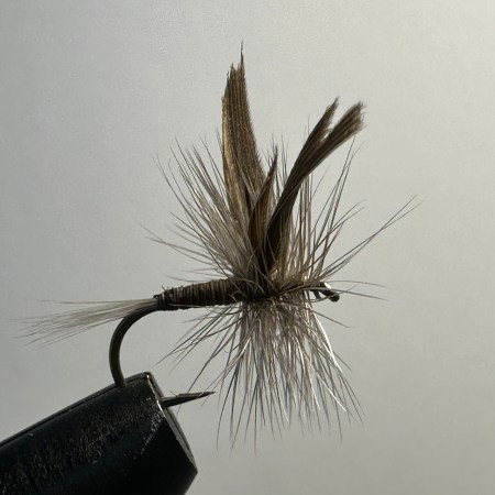 Quill