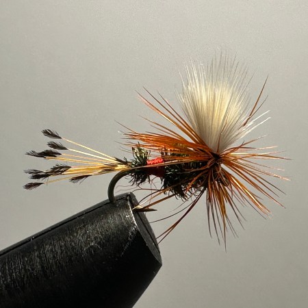 Royal Coachmen, Parachute