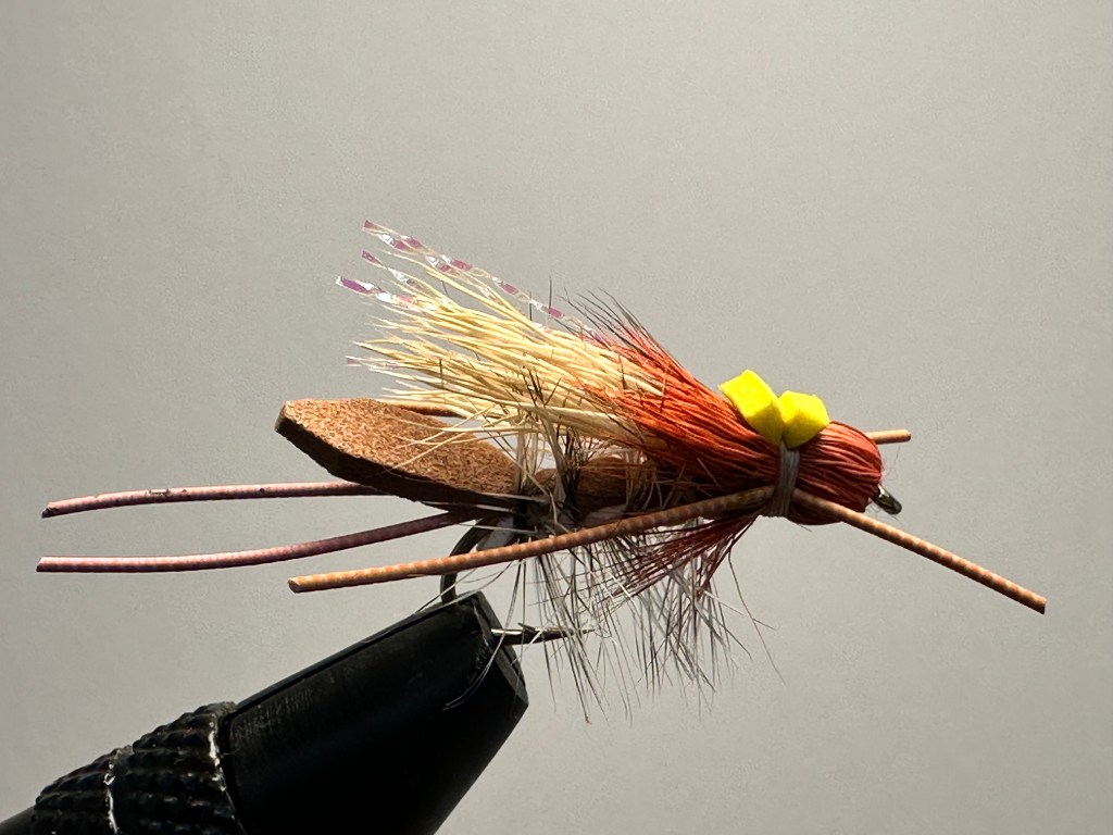 Stonefly, Green Envy
