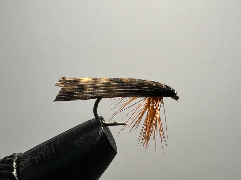 Tent Wing Caddis