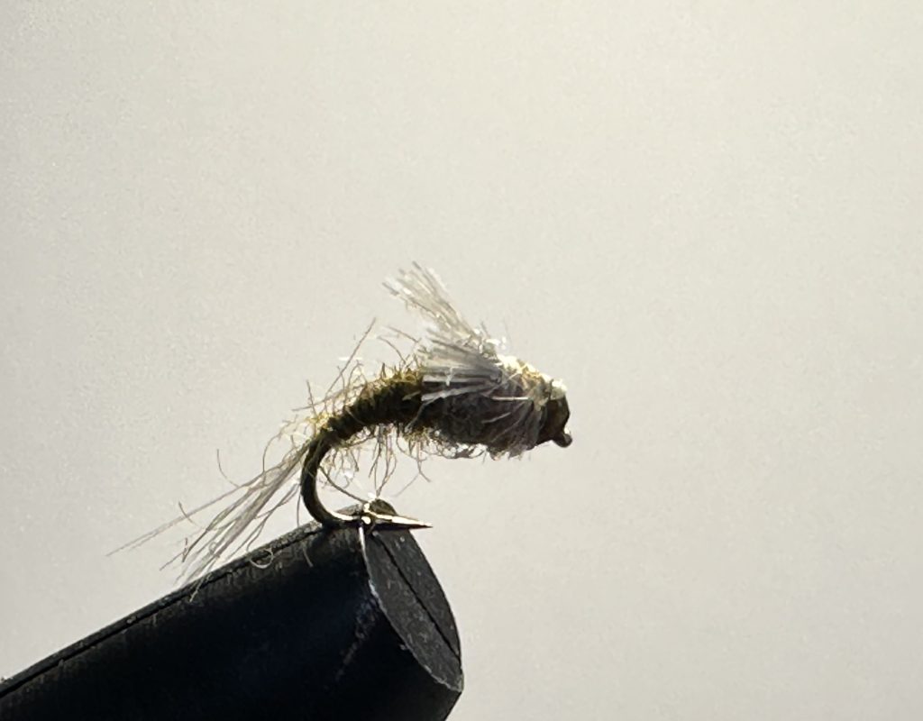 BWO Emerger