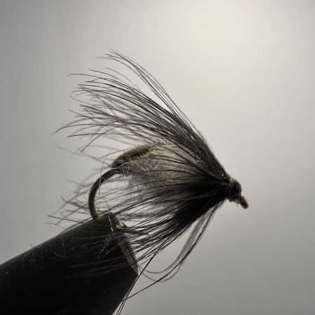 Colorado Caddis