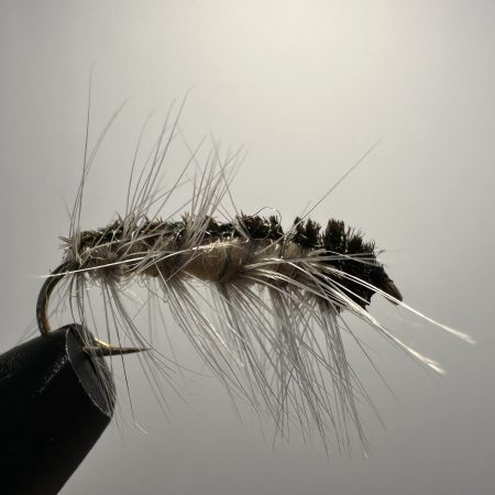 Crane Larva