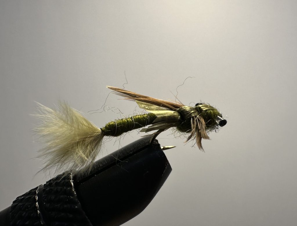 Damsel, Olive Eyed