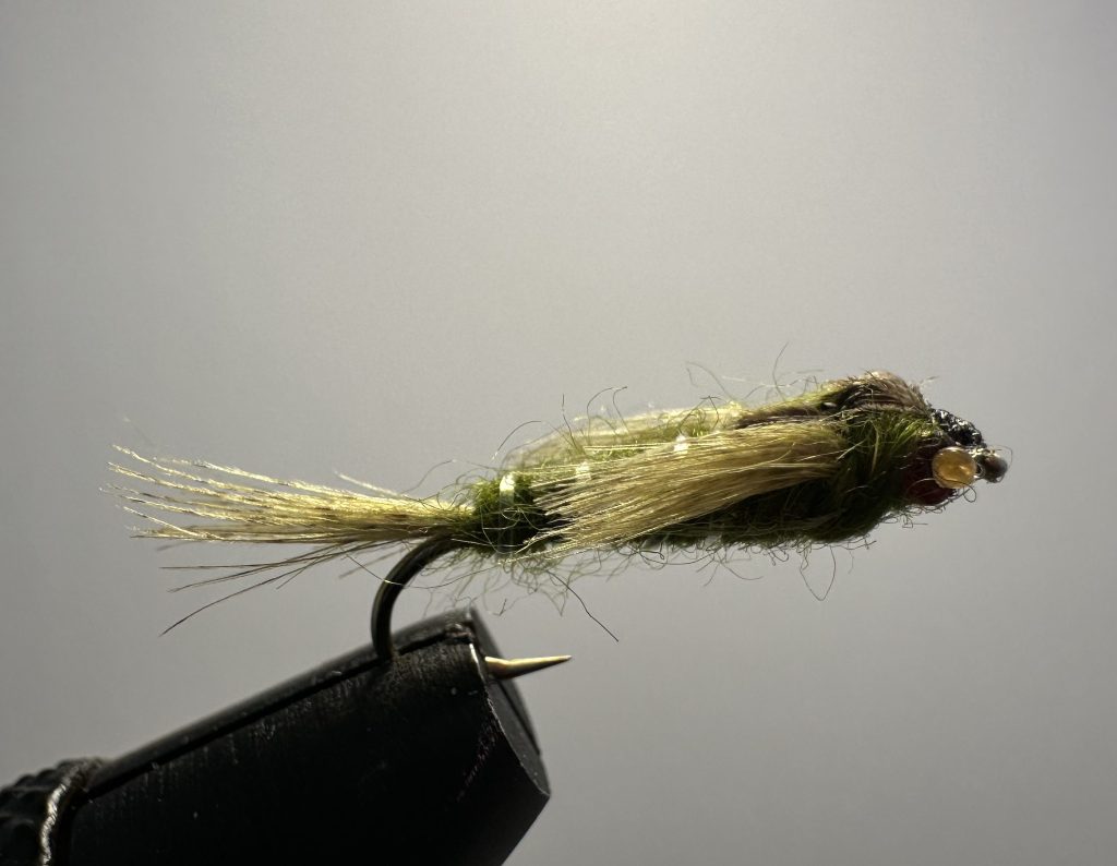 Damsel Olive, Red Eyed