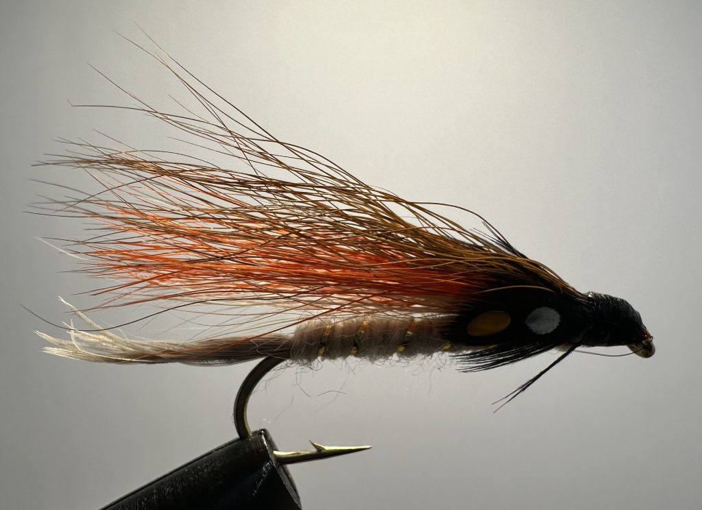 Little Brown Trout