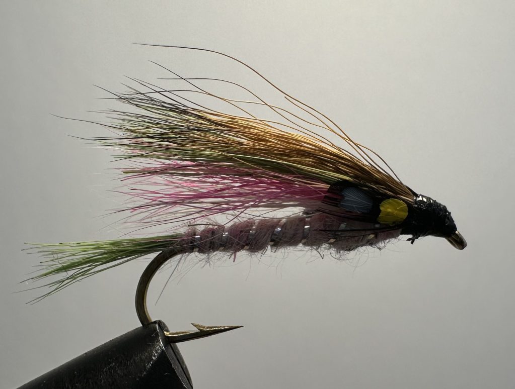 Little Rainbow Trout