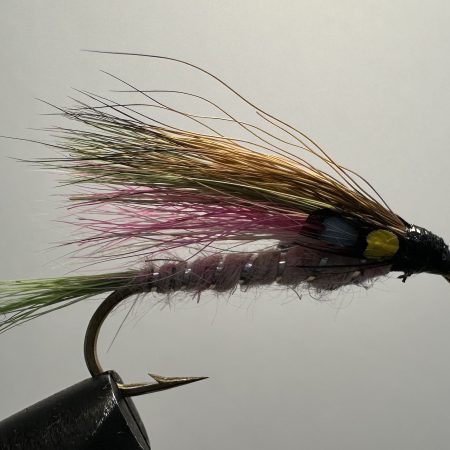 Little Rainbow Trout