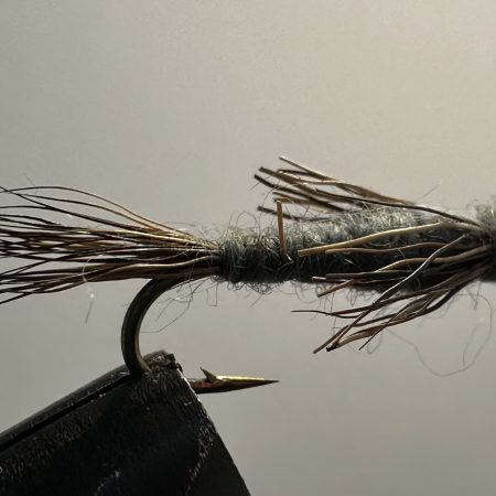Muskrat AP