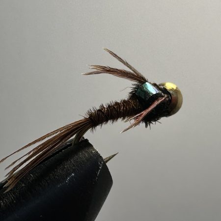 Pheasant Tail