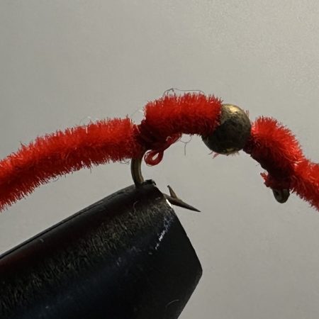 San Juan Worm