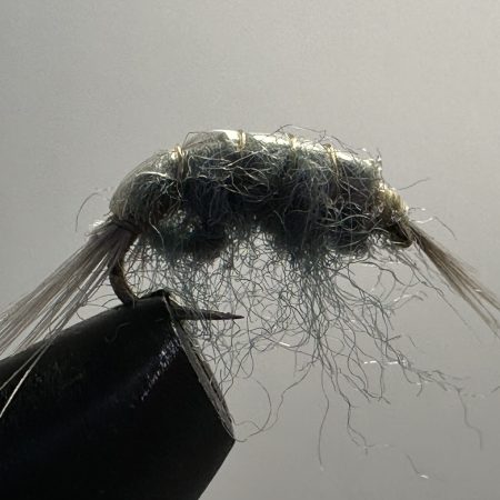 Shrimp, Flashy