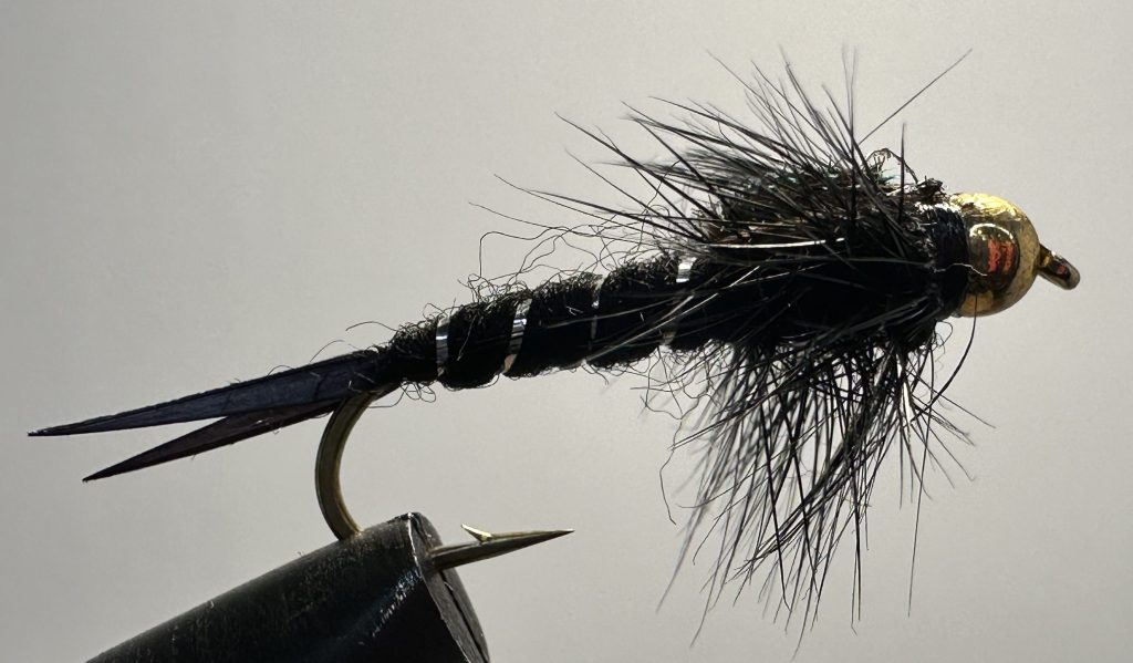Stonefly