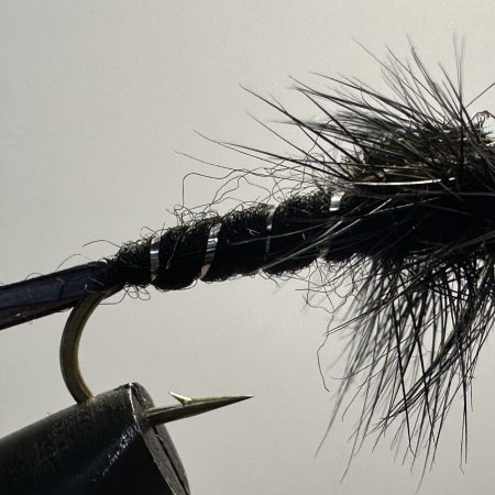 Stonefly