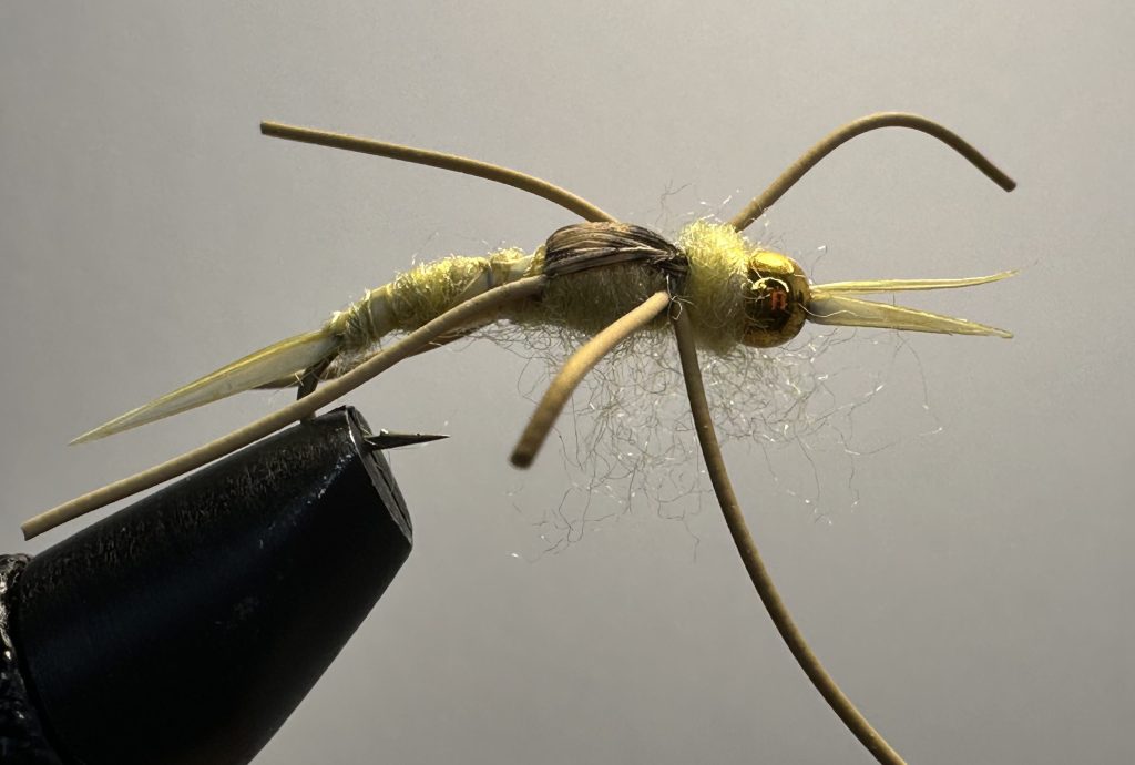 Stonefly, Beadhead
