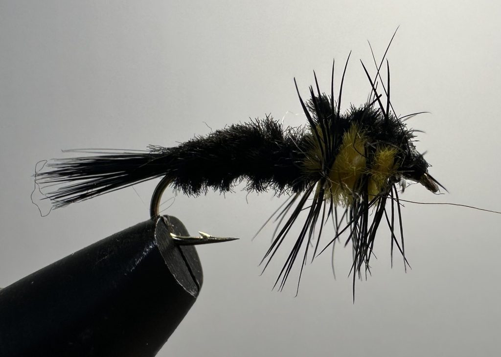 Stonefly, Montana