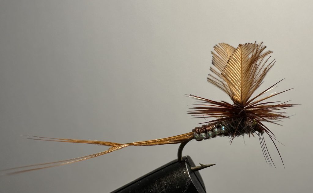 Woven Mayfly