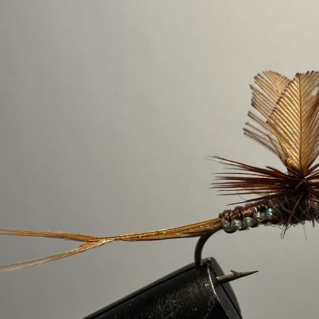 Woven Mayfly