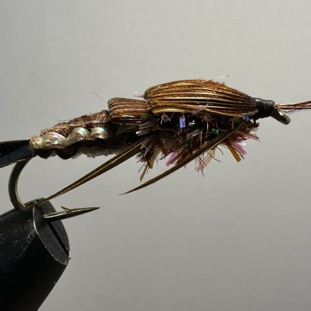Woven Stonefly