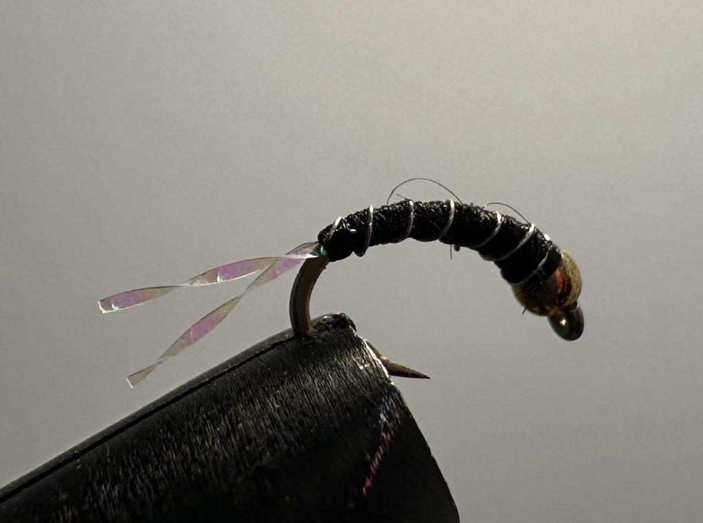 Zebra Midge Flashy, Beadhead, Scud Hook