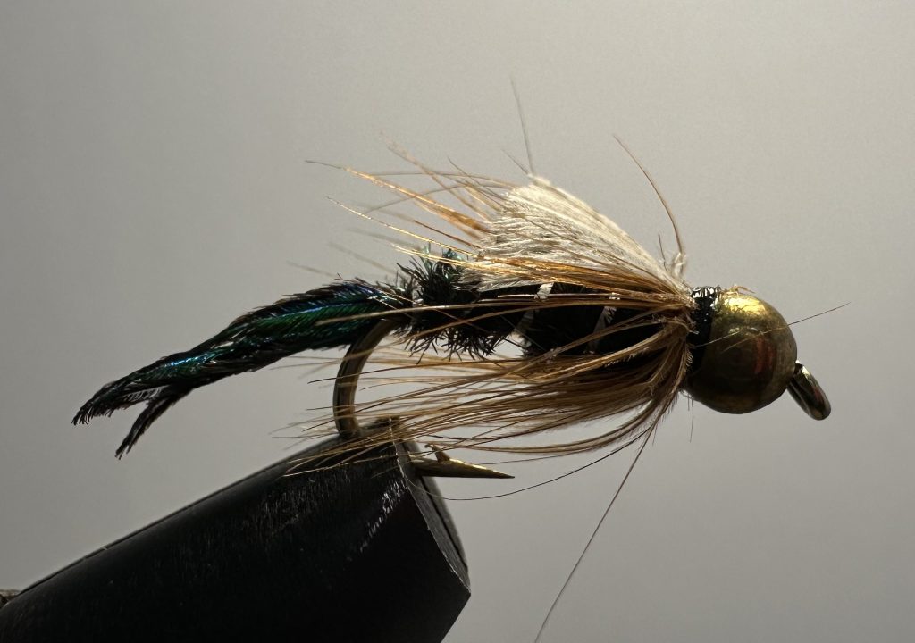 Zug Bug